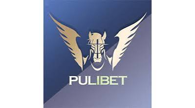 Pulibet erişim ve platform kullanım pratik anlatımi